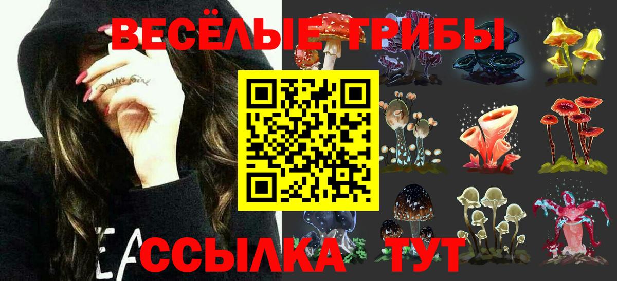 Псилоцибиновые грибы мицелий Черногорск